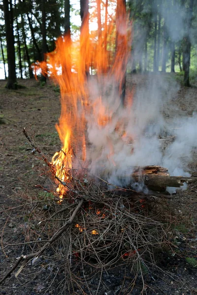 火燃焼プロセスの主要な段階は 自己増殖のプロパティ — ストック写真