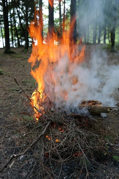Yangın yanma işlemi ana aşaması ve otomatik yayılma özelliğine sahiptir. 