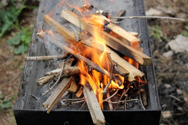 Fuoco Fase Principale Del Processo Combustione Proprietà Auto Propagazione — Foto Stock