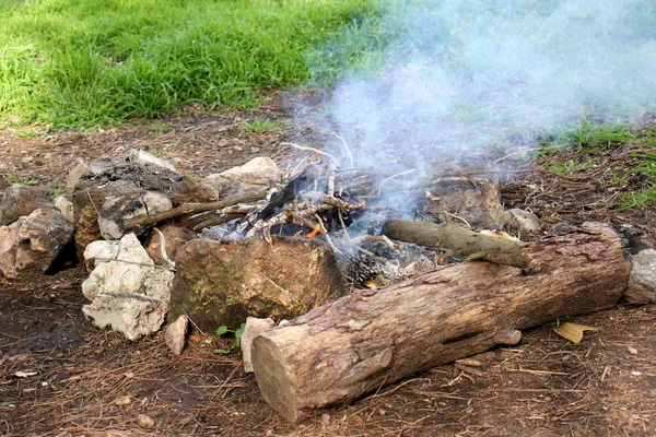 Feuer Ist Die Hauptphase Des Verbrennungsprozesses Und Besitzt Die Eigenschaft — Stockfoto