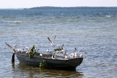 Nakliye için-yükleri ve yolcular göl kenarında küçük bir gemi tekne mi