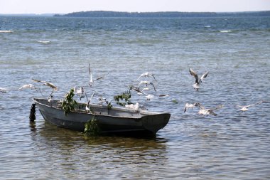 Nakliye için-yükleri ve yolcular göl kenarında küçük bir gemi tekne mi