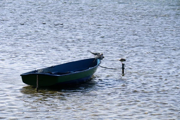 Barco Pequeño Buque Para Transporte Cargas Pasajeros Lago — Foto de Stock