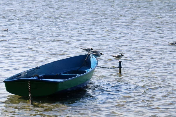 Barco Pequeno Navio Para Transporte Cargas Passageiros Lago — Fotografia de Stock
