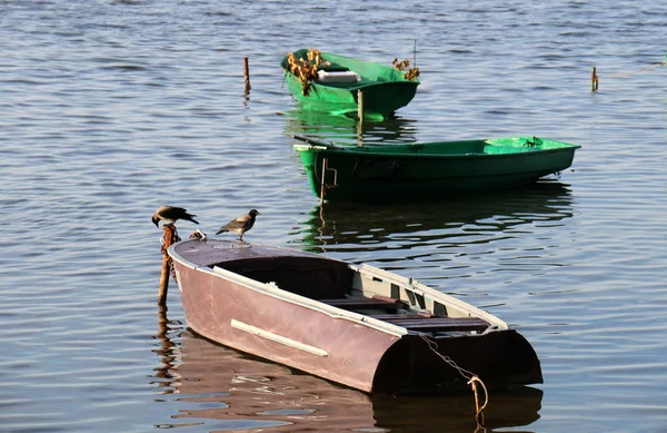 Лодка Представляет Собой Небольшое Судно Перевозки Грузов Пассажиров Озеру — стоковое фото