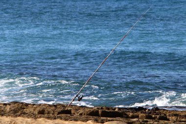 Akdeniz'de İsrail'in kuzey kıyısında oturan adam 