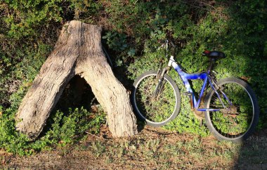 Alanında en büyük başarıdır insanlık tarihin mekaniğinin tekerlek icadı. 