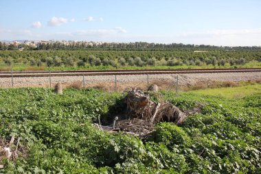 Bir büyük demiryolu parça bir kompleks bir demiryolu parça rehber olan yol formu doğrusal ve mühendislik yapıları olduğunu. 