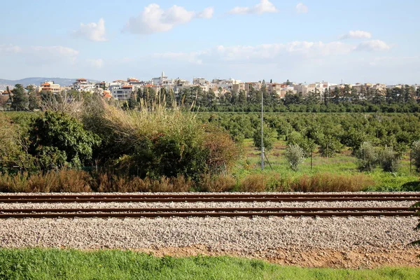 Large Railway Track Complex Linear Engineering Structures Form Road Rail — Stock Photo, Image