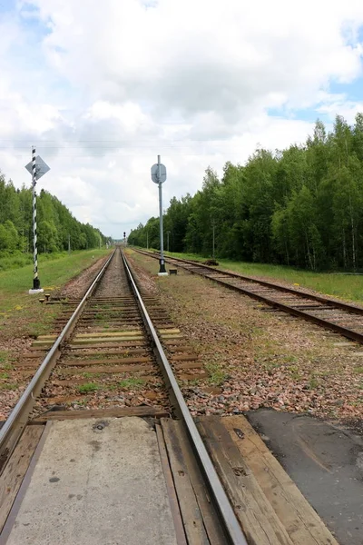 Μια Μεγάλη Σιδηροδρομική Γραμμή Είναι Ένα Συγκρότημα Από Γραμμικά Και — Φωτογραφία Αρχείου