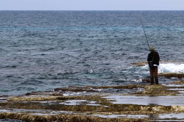 insanlar İsrail Akdeniz deniz kıyısında üzerine getirin 