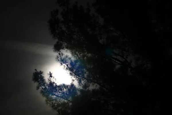 Uma Lua Brilhante Satélite Terra Num Céu Negro — Fotografia de Stock