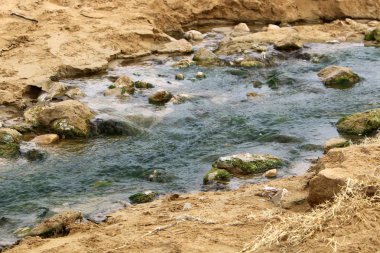 İsrail 'in kuzeyindeki Akdeniz kıyısında. 