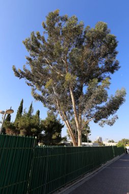 Çit - geçiş için yangın dolapları ve gates geçiş için başka bir bölgede, bir çit korumak için hizmet yapmak. 