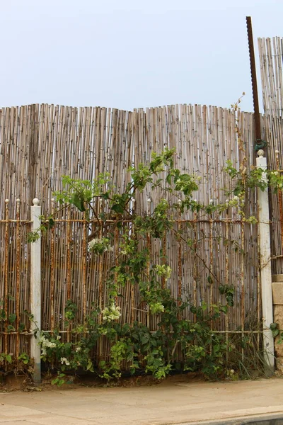 Fence Serveert Andermans Grondgebied Een Hek Beschermen Doen Wickets Voor — Stockfoto