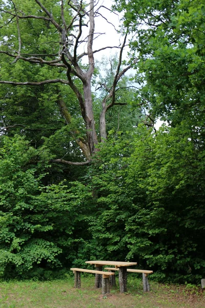 Una Panchina Riposo Trova Nel Parco Della Città — Foto Stock