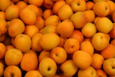 çarşı Akko, İsrail'deki kentinde, meyve satılıyor 