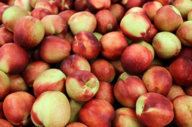 çarşı Akko, İsrail'deki kentinde, meyve satılıyor 