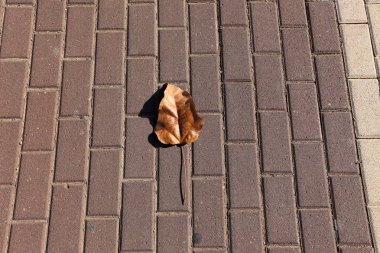 Kaldırım sadece yayalar için kaldırımlar boyunca araçların hareket yasaktır. 