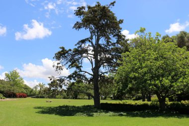 bizim yaşam alanı doğal çevreyi korumak 