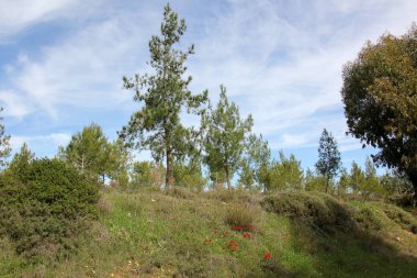 bizim yaşam alanı doğal çevreyi korumak 