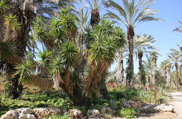 Proteger Medio Ambiente Natural Nuestro Hábitat — Foto de Stock