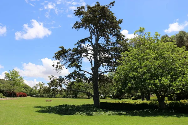 bizim yaşam alanı doğal çevreyi korumak 