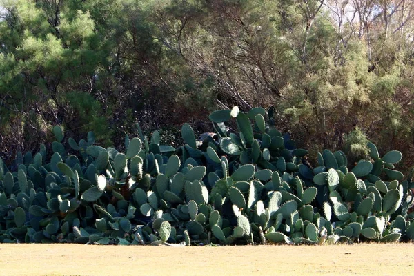 Protéger Environnement Naturel Notre Habitat — Photo