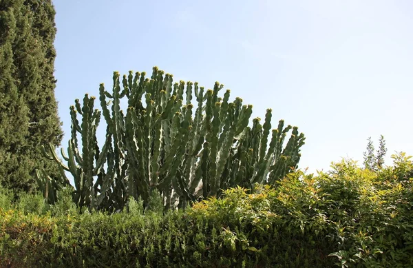 bizim yaşam alanı doğal çevreyi korumak 