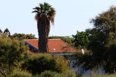 çatı - atmosferik yağış karşı korumak için hizmet vermektedir binanın üst yapısı 