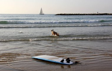 Kayık - kürek seyahat ve spor su üzerinde oynamak için bot 