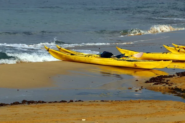 Kayak Rowing Boat Traveling Playing Sports Water — Stock Photo, Image