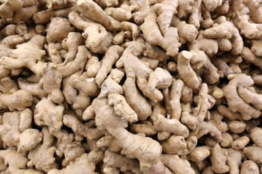 taze sebze Akko İsrail şehirde pazarda satılmaktadır 