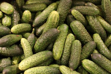 taze sebze Akko İsrail şehirde pazarda satılmaktadır 