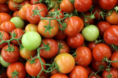 taze sebze Akko İsrail şehirde pazarda satılmaktadır 