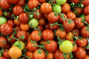 taze sebze Akko İsrail şehirde pazarda satılmaktadır 