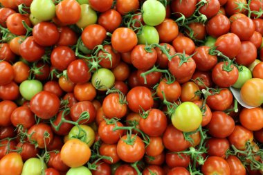 taze sebze Akko İsrail şehirde pazarda satılmaktadır 