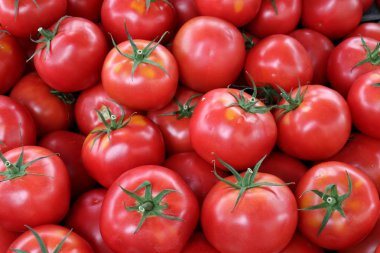 taze sebze Akko İsrail şehirde pazarda satılmaktadır 