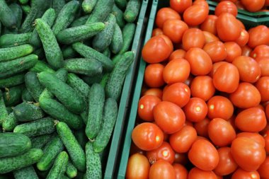 taze sebze Akko İsrail şehirde pazarda satılmaktadır 