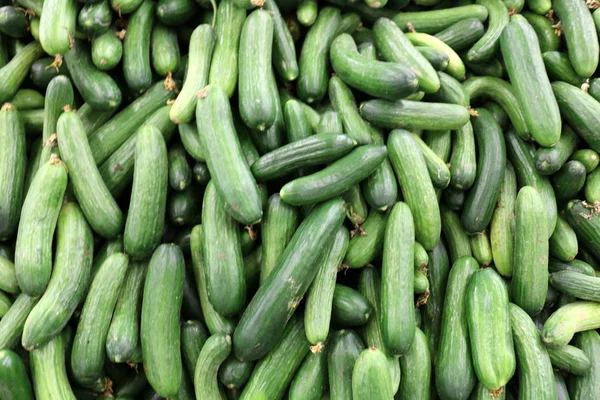 Verdure Fresche Sono Vendita Nel Bazar Nella Città Akko Israele — Foto Stock