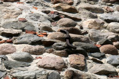 taştan bir duvar kalmadı eski Kalesi 