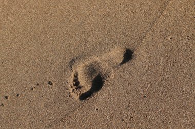 İsrail'in Kuzey Akdeniz kıyısında deniz kum izlemeler 