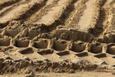 İsrail'in Kuzey Akdeniz kıyısında deniz kum izlemeler 