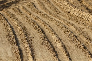 İsrail'in Kuzey Akdeniz kıyısında deniz kum izlemeler 