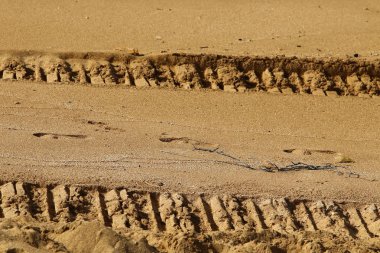 İsrail'in Kuzey Akdeniz kıyısında deniz kum izlemeler 