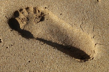 İsrail'in Kuzey Akdeniz kıyısında deniz kum izlemeler 