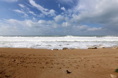 İsrail'in Kuzey Akdeniz kıyısında deniz kum izlemeler 