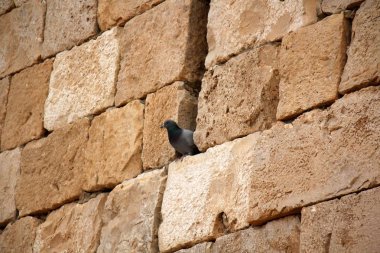 Kuzey İsrail ' Akdeniz'in kıyısında taş yalan 
