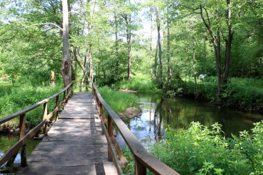 Bir engel dikilmiş bir yapay, mühendislik yapı köprüdür. 