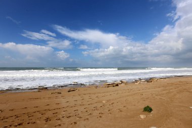 İsrail 'in kuzeyindeki Akdeniz kıyısında. 